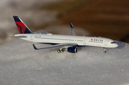 DSC_0242.jpg