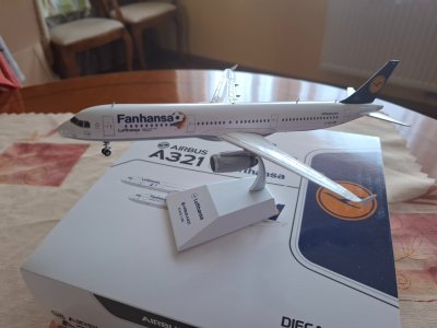 #393 Lufthansa A321-200 D-AIDG .jpg