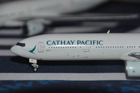 DSC_7748[1].JPG