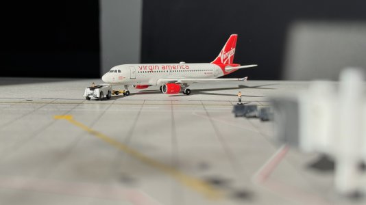 IMG_1651.jpg