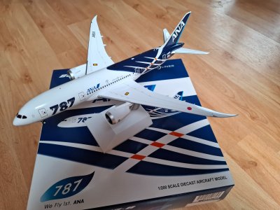 #395 ANA B787-8 JA801A.jpg