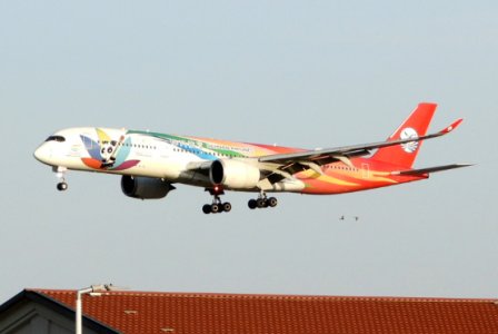 DSCN4787.JPG