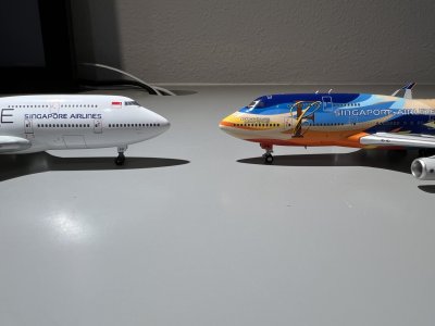 IMG_9964.jpeg