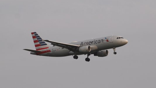 IMG_9346.jpeg IMG_9346.jpeg