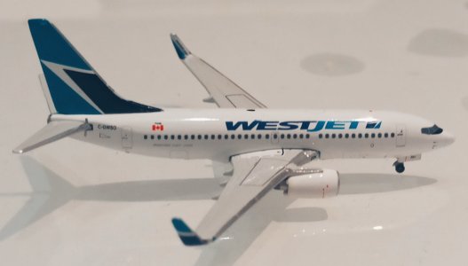 IMG_20250617_090218.jpg