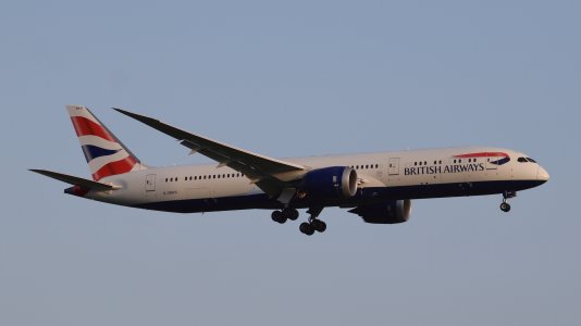 IMG_2599.jpeg