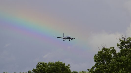 IMG_3111.jpeg