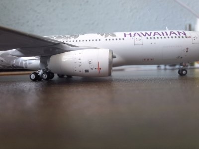 20250629_165250.jpg