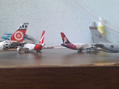 20250629_165737.jpg