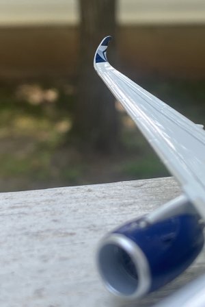 IMG_0531.jpg