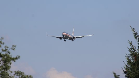 IMG_4207.jpeg