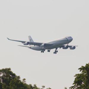 IMG_4697.jpeg