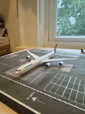 LH346.jpeg