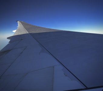 IMG_9510.jpeg