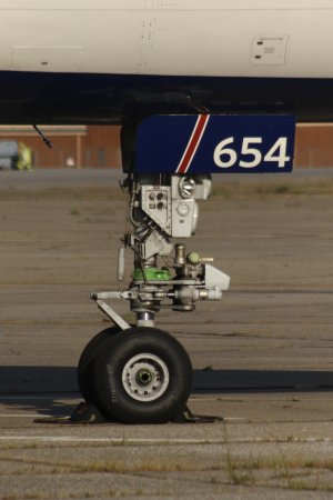 IMG_7450.jpeg