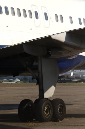 IMG_7391.jpeg