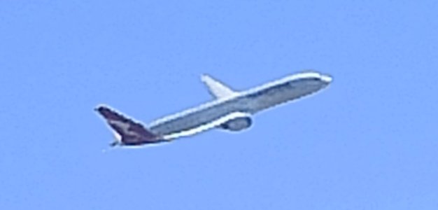 IMG_20250808_115503.jpg
