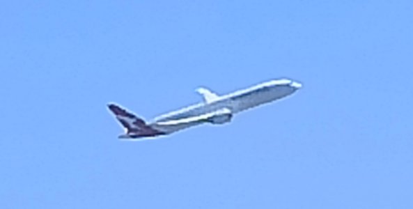 IMG_20250808_115443.jpg
