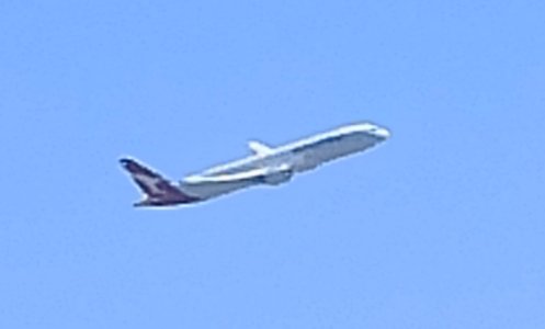 IMG_20250808_115422.jpg