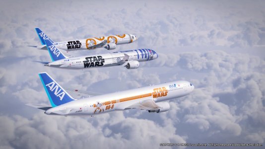 SW-01-2.jpg SW-01-2.jpg