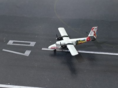 IMG_20250826_105550.jpg