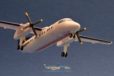 DSC_5483.jpg