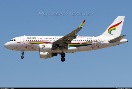 b-1008-tibet-airlines-airbus-a319-115-wl_PlanespottersNet_1594572_9591ef5b87_o.jpg