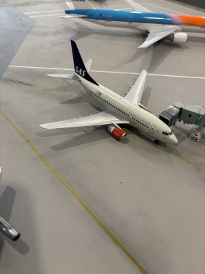 IMG_3350.jpeg