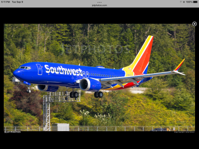823BB374-BC40-4BAE-B360-F9CEB99E6549.png
