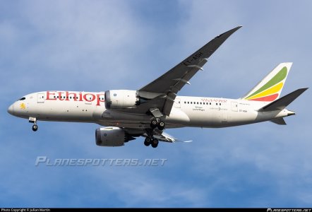 et-ash-ethiopian-airlines-boeing-787-8-dreamliner_PlanespottersNet_1767736_9c6058a16f_o.jpg