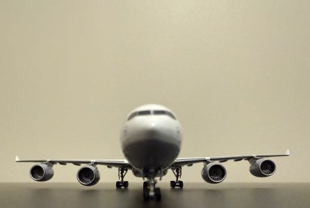 IMG_1834.jpeg