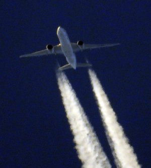 DSCN6789.JPG