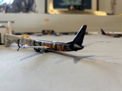 IMG_8681.jpeg IMG_8681.jpeg