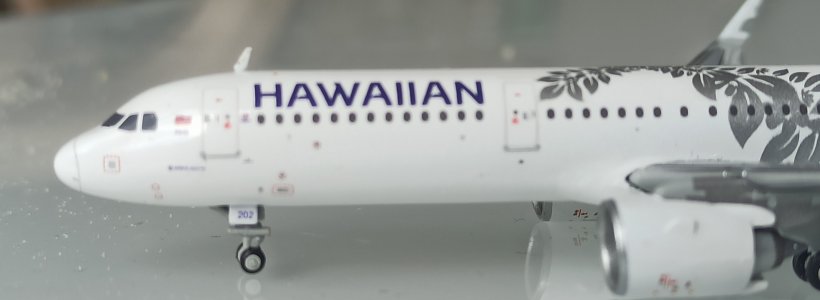 IMG_20251024_134959.jpg IMG_20251024_134959.jpg