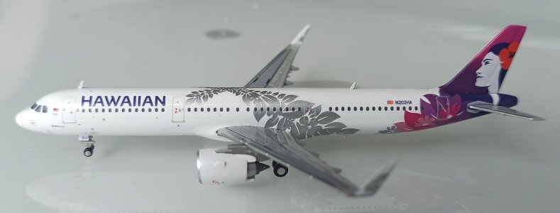 IMG_20251024_135021.jpg IMG_20251024_135021.jpg