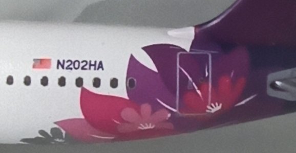 IMG_20251024_134902.jpg IMG_20251024_134902.jpg