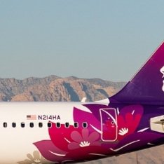 IMG_20251024_142933.jpg IMG_20251024_142933.jpg