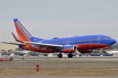 IMG_1109.jpeg IMG_1109.jpeg