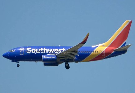 IMG_0921.jpeg IMG_0921.jpeg