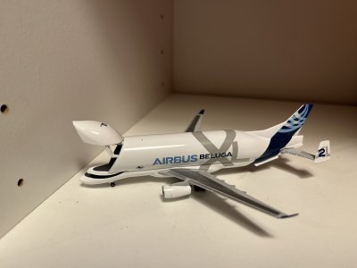 IMG_6440.jpg IMG_6440.jpg