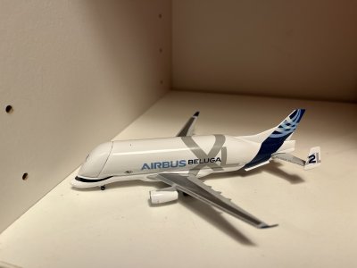 IMG_6441.jpg IMG_6441.jpg