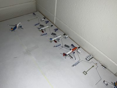 IMG_4788.jpeg IMG_4788.jpeg