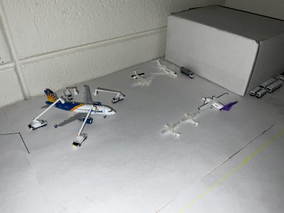 IMG_4787.jpeg IMG_4787.jpeg