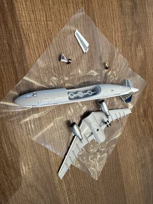 IMG_2089.jpeg IMG_2089.jpeg