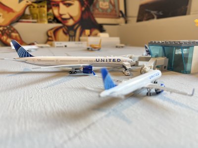 IMG_8676.jpeg IMG_8676.jpeg