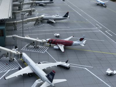 IMG_5837.jpeg IMG_5837.jpeg