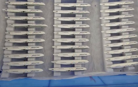 1762805417177.jpeg 1762805417177.jpeg