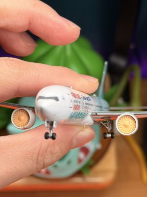 1765205475234.jpeg 1765205475234.jpeg