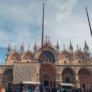 IMG_20251207_120341.jpg IMG_20251207_120341.jpg