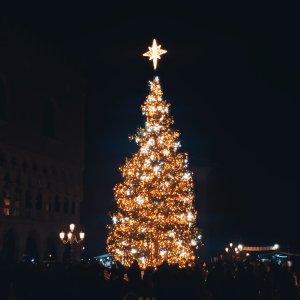 IMG_20251206_191620.jpg IMG_20251206_191620.jpg